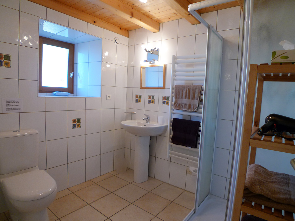 Shower Room at Wisteria Cottage in Sigournais Vendee